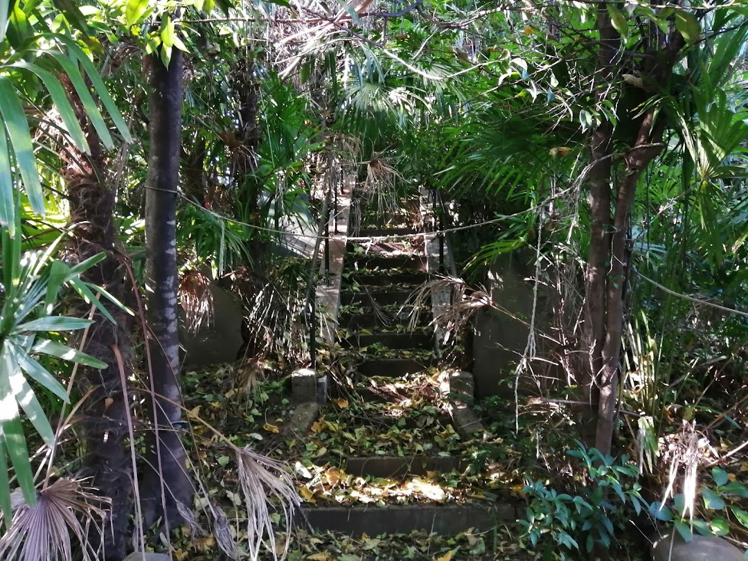 神社加納