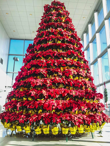 Chevrolet Dealer «Jack Maxton Chevrolet», reviews and photos, 700 E Dublin Granville Rd, Columbus, OH 43085, USA