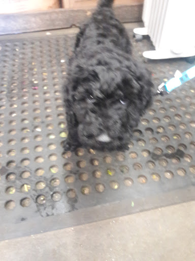 Florist «Rancho Duarte Florist», reviews and photos, 2143 E Huntington Dr, Duarte, CA 91010, USA