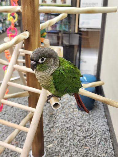 Pet Supply Store «Petco Animal Supplies», reviews and photos, 29560 W Seven Mile Rd, Livonia, MI 48152, USA