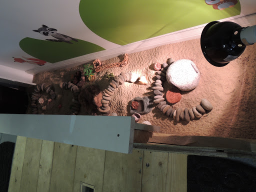 Day Care Center «Freedom Rains», reviews and photos, 553 Roosevelt Hwy # 103, Colchester, VT 05446, USA