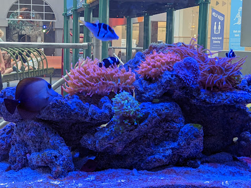 Science Museum «Science City», reviews and photos, 30 W Pershing Rd, Kansas City, MO 64108, USA