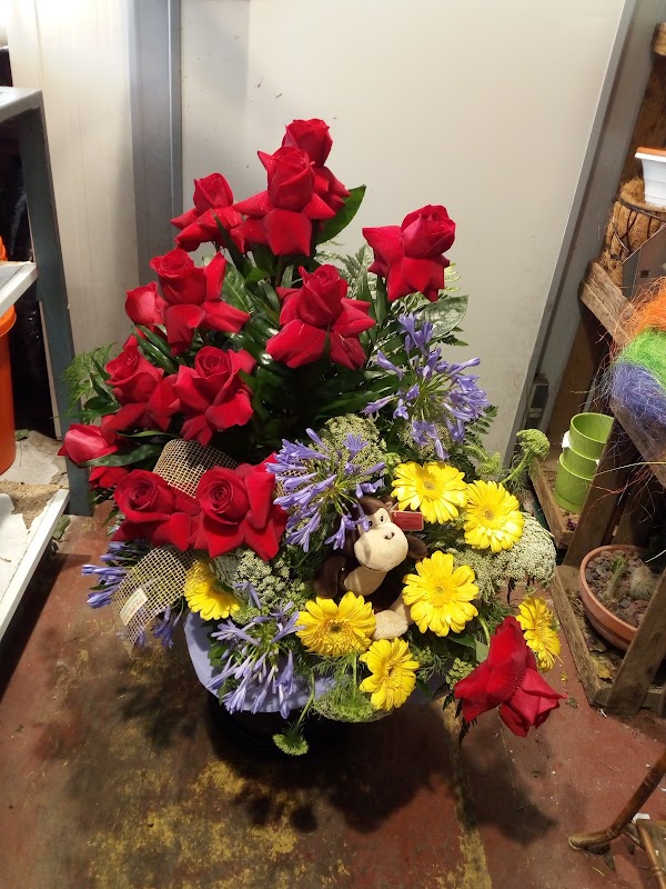 La Floristería