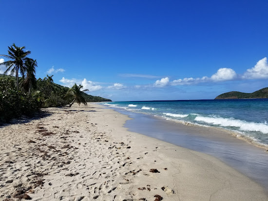 Zoni beach