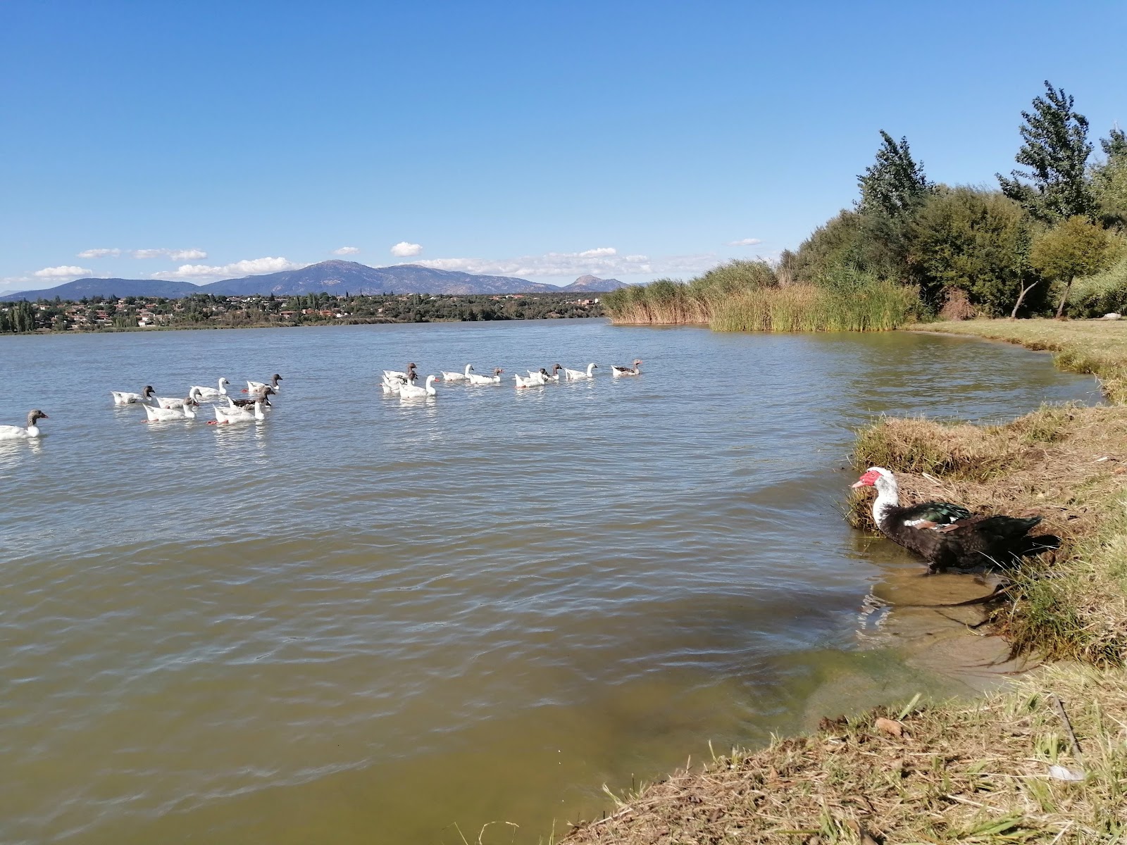 Zona de bano del embalse de Cazalegas photo #8