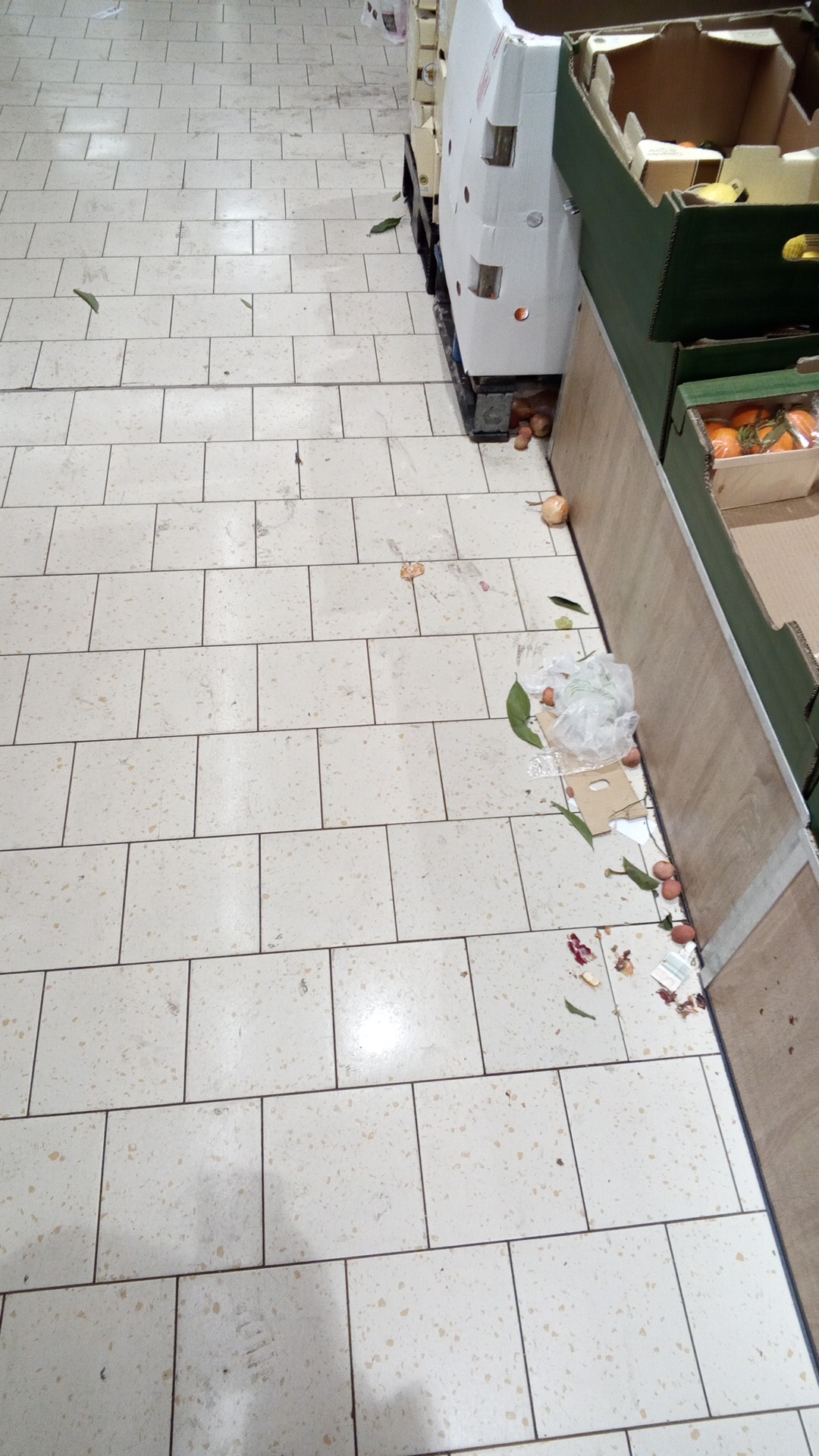 Photo n° 3 de l'avis de Rephael. fait le 27/12/2023 à 14:37