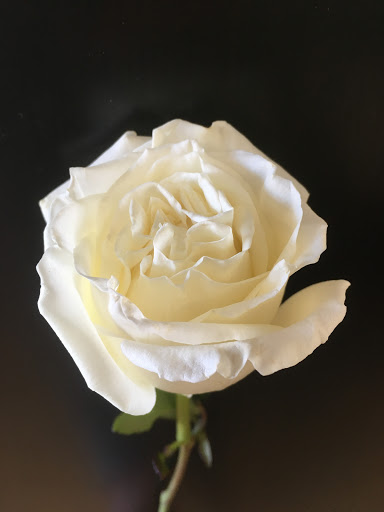 Florist «Parker Blooms», reviews and photos, 11153 S Parker Rd, Parker, CO 80134, USA