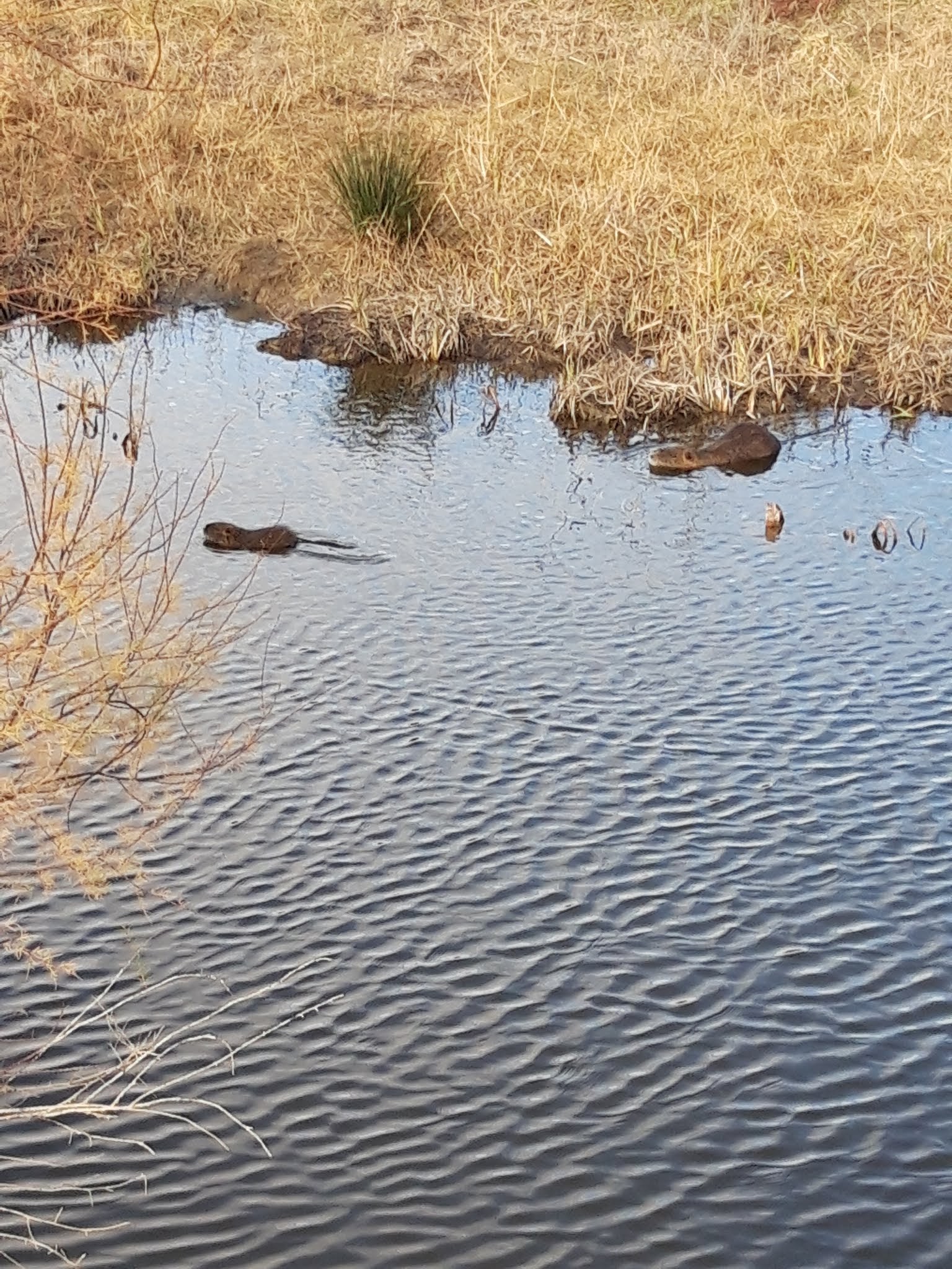 Photo n° 4 de l'avis de Gérard.R fait le 29/01/2019 à 17:21