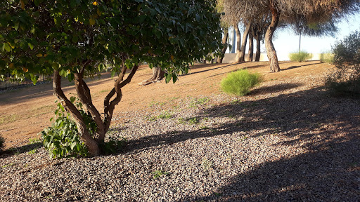 Golf Course «Coyote Run Golf Course», reviews and photos, 1548 Leisure World Blvd, Mesa, AZ 85206, USA