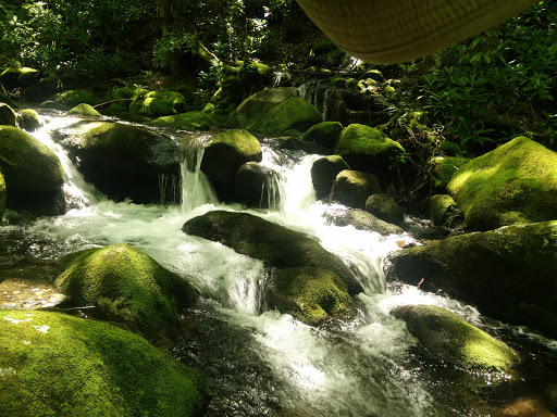 National Park «Great Smoky Mountains National Park», reviews and photos