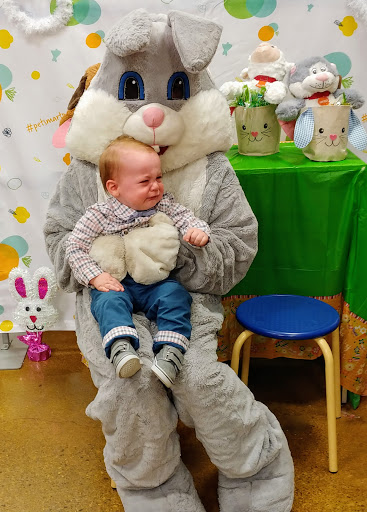 Pet Supply Store «PetSmart», reviews and photos, 3260 Stockton Hill Rd, Kingman, AZ 86409, USA