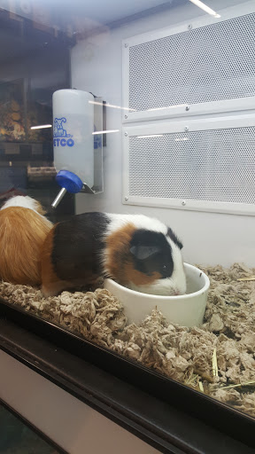 Pet Supply Store «Petco Animal Supplies», reviews and photos, 1111 US-46, Parsippany, NJ 07054, USA