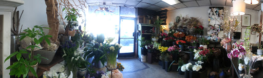 Florist «Natural Simplicity», reviews and photos, 223 Main St, El Segundo, CA 90245, USA