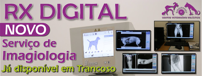 Centro Veterinário Holístico Bandarravet - Veterinário