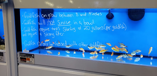 Pet Supply Store «Petco Animal Supplies», reviews and photos, 65 Taunton Depot Dr A, Taunton, MA 02780, USA