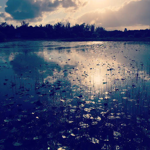 Park «Tree Tops Park», reviews and photos, 3900 SW 100th Ave, Davie, FL 33328, USA