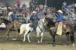 Piatt County Rodeo image