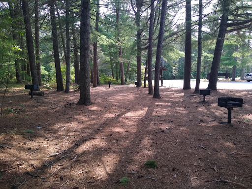 State Park «Myles Standish State Forest», reviews and photos, 194 Cranberry Rd, Carver, MA 02330, USA