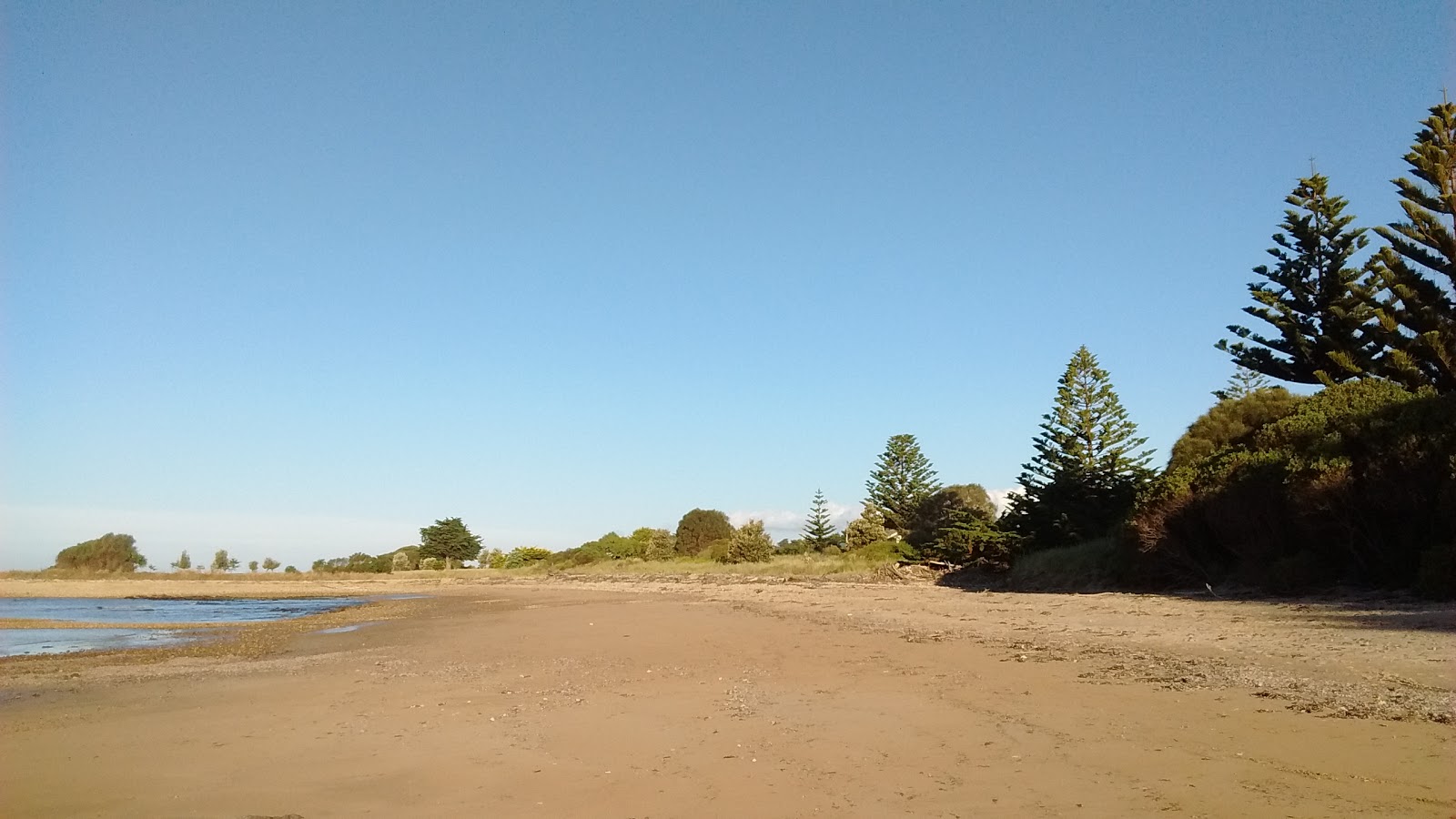 Foto di East Devonport Beach - luogo popolare tra gli intenditori del relax