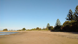 Foto di East Devonport Beach - luogo popolare tra gli intenditori del relax