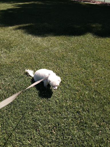 Park «Angel Park», reviews and photos, Angel Park Trail, Las Vegas, NV 89145, USA