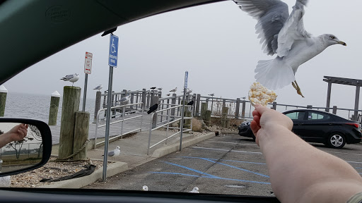 Golf Club «Bergen Point Golf Course», reviews and photos, 69 Bergen Ave, West Babylon, NY 11704, USA