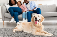 Malachi Loyal at Comparion Insurance Agency - Photo 5 - Car repair in Douglasville, GA, South Fulton