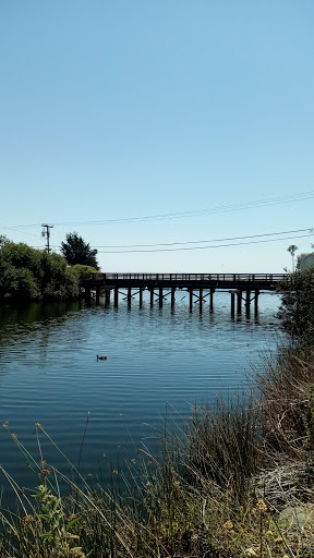 Park «Mary Harrington Park», reviews and photos, 201 Dolliver St, Pismo Beach, CA 93449, USA