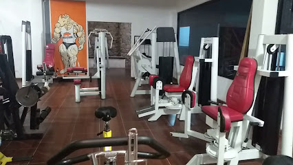 Rino's Gym