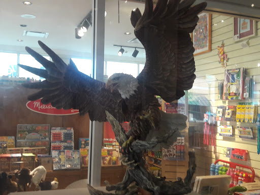 Museum «Customs House Museum and Cultural Center», reviews and photos, 200 S 2nd St, Clarksville, TN 37040, USA