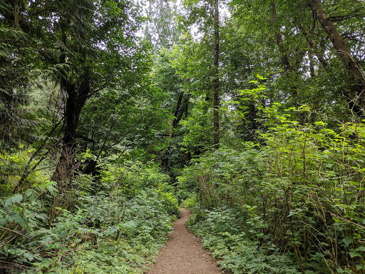 Four Cedars Trail