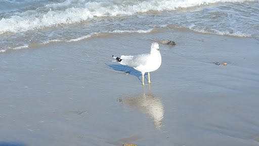 Golf Club «Green Harbor Golf Club», reviews and photos, 624 Webster St, Marshfield, MA 02050, USA