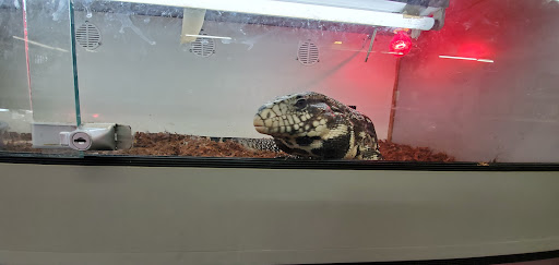 Reptile Store «La Habra Pets», reviews and photos, 1919 W La Habra Blvd, La Habra, CA 90631, USA
