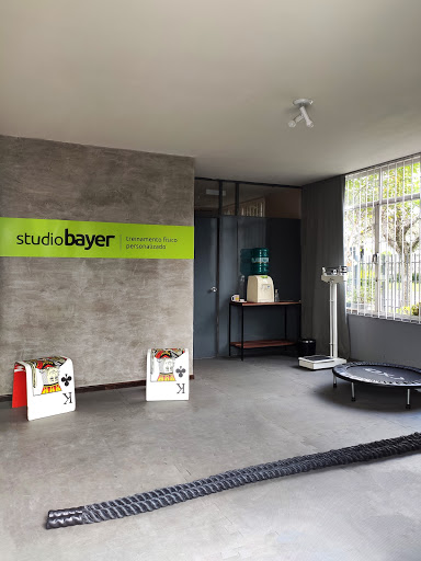 Logo da empresa - Studio Bayer