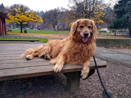 Park «Wallace City Park», reviews and photos, 1600 NW 25th Ave, Portland, OR 97210, USA