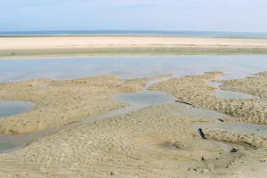 Verklikkerplaat - Zandbank en rustplaats voor Zeehonden image