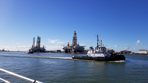 Museum «Texas Seaport Museum», reviews and photos, 2100 Harborside Dr, Galveston, TX 77550, USA