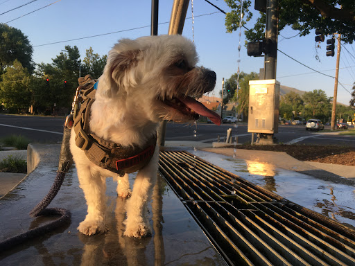 Park «Artesian Well Park», reviews and photos, 808 S 500 E, Salt Lake City, UT 84102, USA