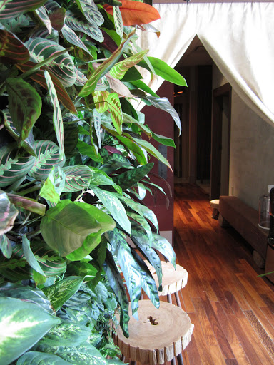 Spa «Suchada Herbal Spa», reviews and photos, 2 Division St, San Francisco, CA 94103, USA