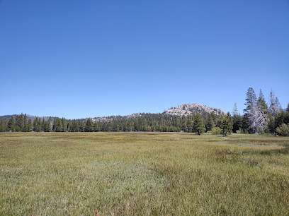 Washoe Meadows State Park