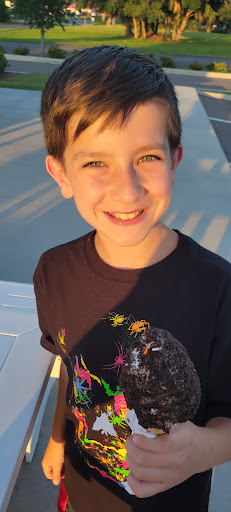 Ice Cream Shop «Twistee Treat Pinellas Park», reviews and photos, 4556 Mainlands Blvd W, Pinellas Park, FL 33782, USA