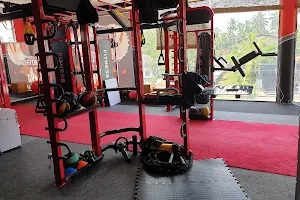 BITULINK DP30 GYM image