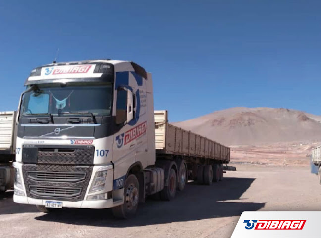 Dibiagi Transporte Internacional S.A. Sucursal Los Andes - Chile - Servicio de transporte