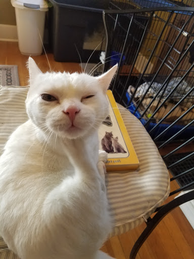 133 W Franklin St, Centerville, OH 45459, USA