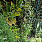 Photo n°3 de l'avis de Nick.e fait le 01/09/2023 à 22:10 sur le  Vila Ventura Restaurant à Caniço