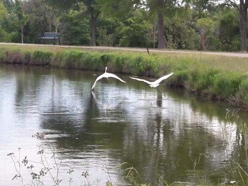 Park «Russell Creek Park», reviews and photos, 3500 McDermott Rd, Plano, TX 75025, USA