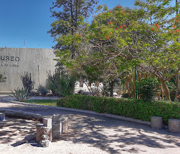 Bosque Venustiano Carranza photo