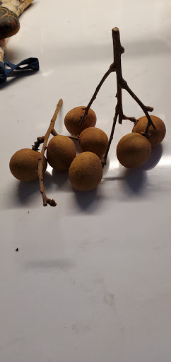 Asian Grocery Store «Oriental Food Market», reviews and photos, 109 New Canaan Ave, Norwalk, CT 06850, USA