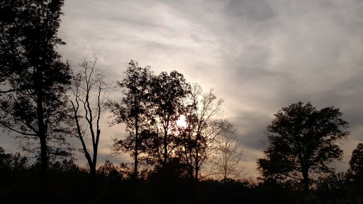 Golf Course «Forest Hills Golf Course», reviews and photos, 41971 Oberlin Elyria Rd, Elyria, OH 44035, USA