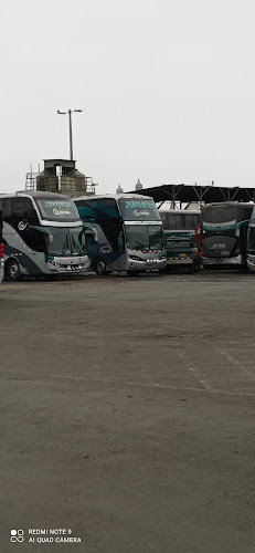 Opiniones de Empresa de Transporte y Turismo Z Buss en Huaral - Servicio de transporte